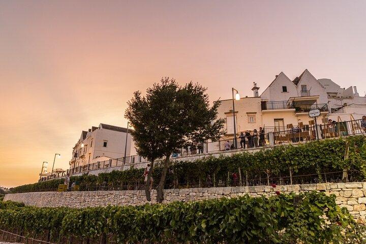 Alberobello, Locorotondo & Ostuni: Full-Day Private Tour