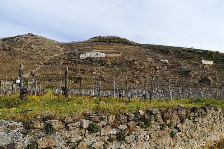 Rhône Valley Wine & Chocolate Tasting Private Day Tour from Lyon