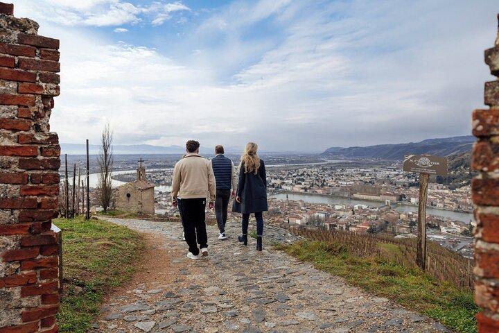 Private Wine and Hiking in Hermitage from Lyon with wine tasting