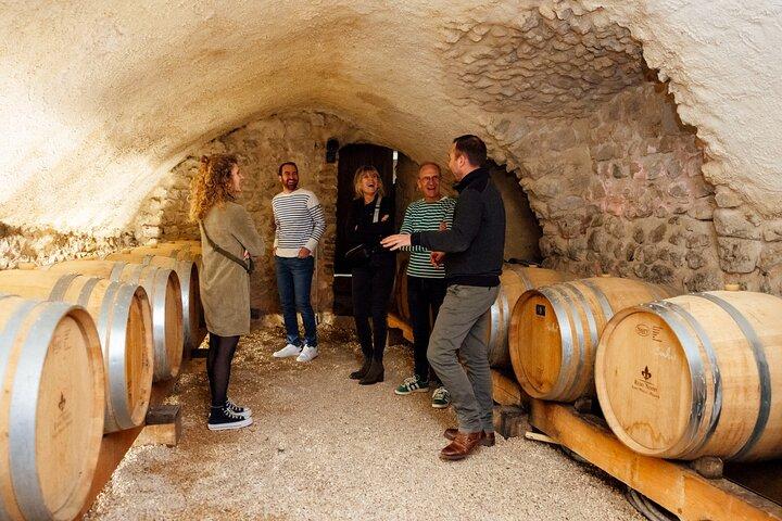Private Wine and Hiking in Hermitage from Lyon with wine tasting