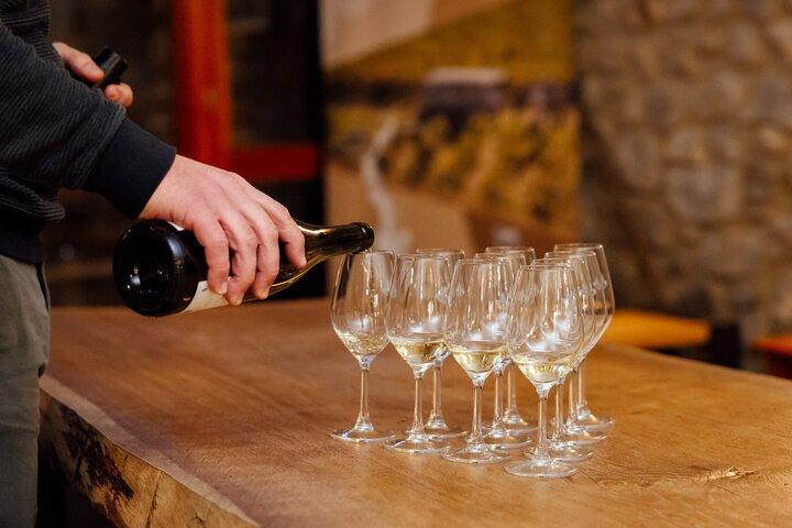 Private Wine and Hiking in Hermitage from Lyon with wine tasting