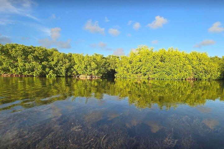 Florida Keys Kayak And Paddleboard Rentals