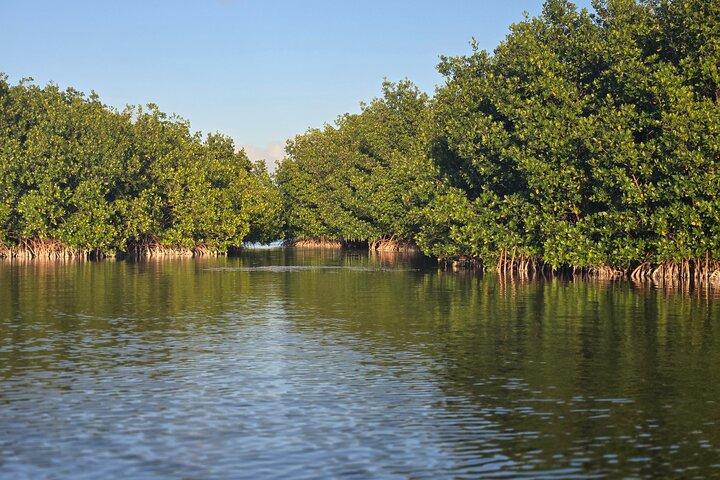 Florida Keys Kayak And Paddleboard Rentals