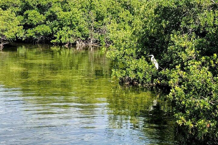 Florida Keys Kayak And Paddleboard Rentals