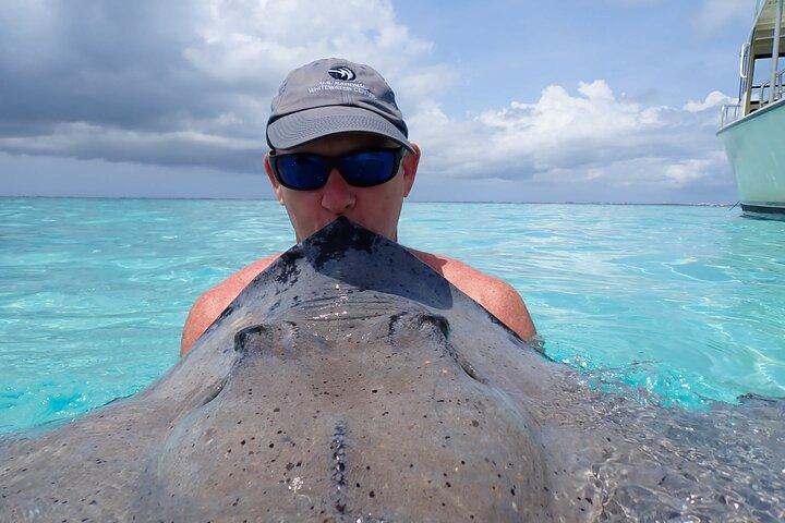 Stingray City Sandbar Experience