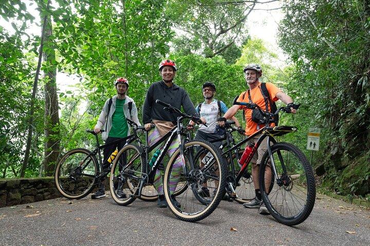 Rio Rainforest Ride An Unforgettable Mountain Bike Tour