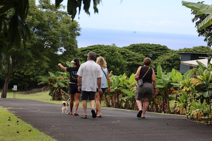 Kona Coffee Farm Tour from Tree to Tasting Room