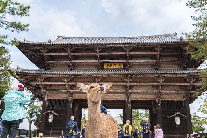 Private Kyoto Tour by Car with Optional Nara or Osaka Add-Ons