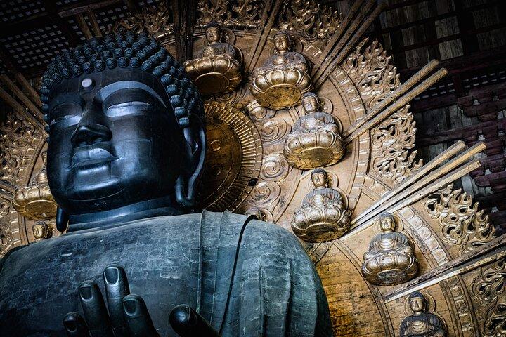 Private Kyoto Tour by Car with Optional Nara or Osaka Add-Ons