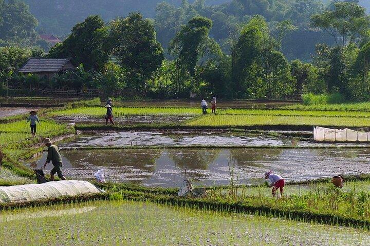Mai Chau in 1 Day: Cycle Through Vietnam’s Peaceful Villages