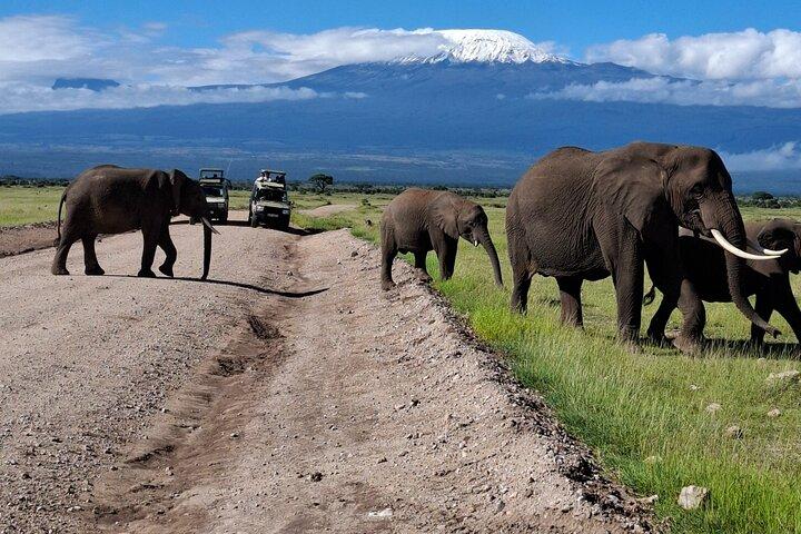 Private Day trip Amboseli National Park in 4x4 Landcruiser