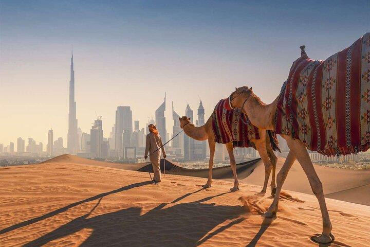 Customize Private Dubai City Tour Half DAY Full Day