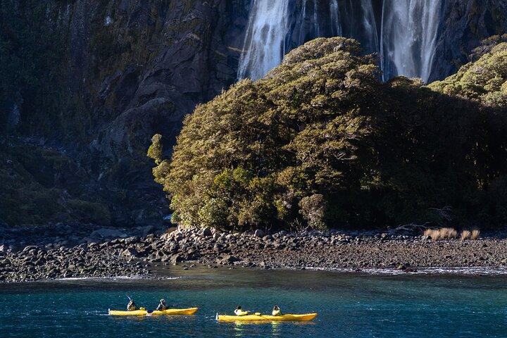 Milford Sound Scenic Flight with Landing from Queenstown