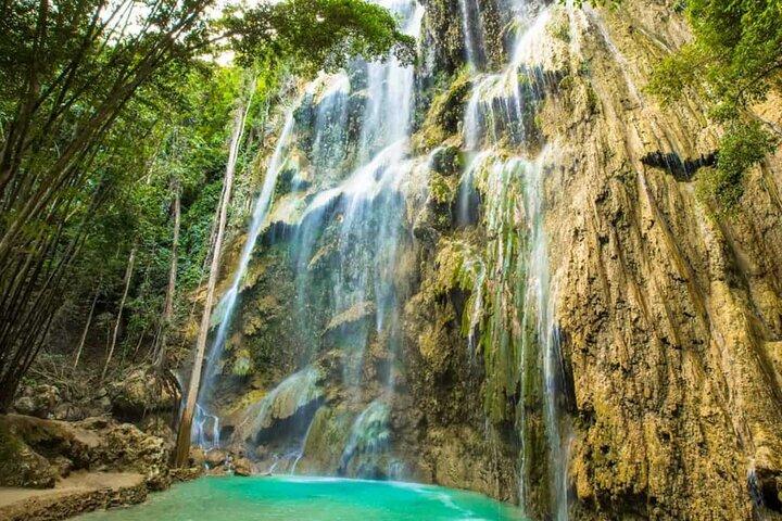 Cebu Tumalog, Inambakan Falls, Sardines and Whaleshark Watching