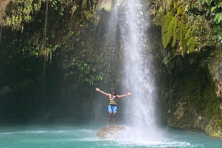 Cebu Tumalog, Inambakan Falls, Sardines and Whaleshark Watching