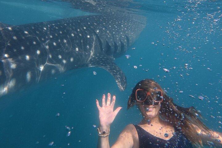 Cebu Tumalog, Inambakan Falls, Sardines and Whaleshark Watching