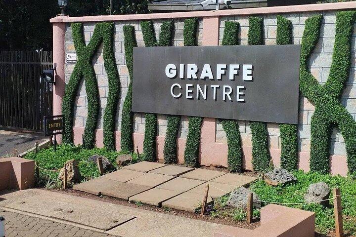 Nairobi Full Day Group Joining Tour