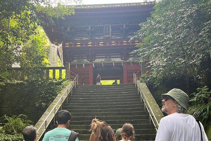 Miho no Matsubara, Kunozan Toshogu, Nihondaira Guided Tour-Van