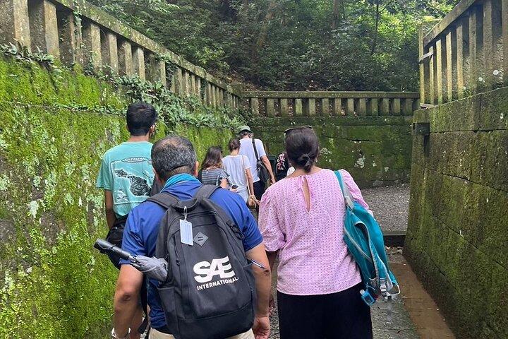 Miho no Matsubara, Kunozan Toshogu, Nihondaira Guided Tour-Van