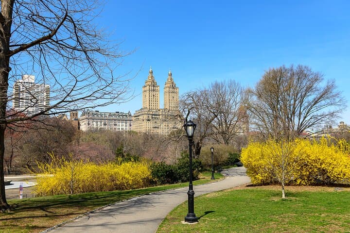 Central Park E-Scooter Rentals