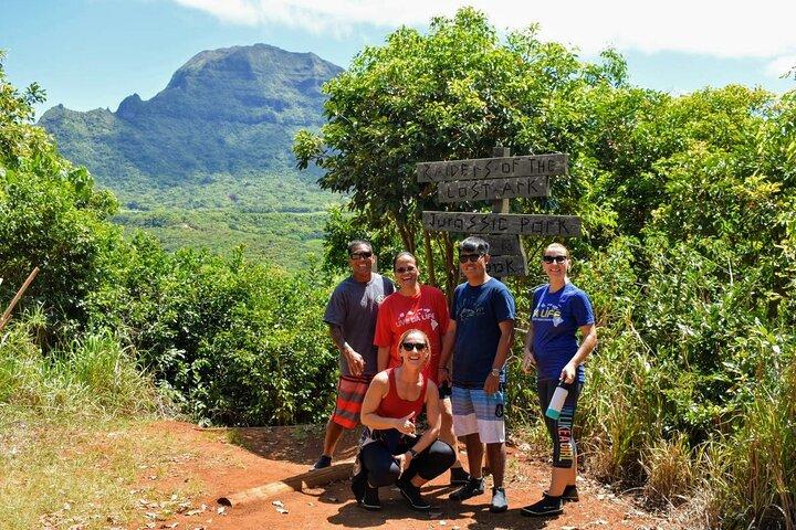 Private Waterfalls Hike and Swim in Lihue