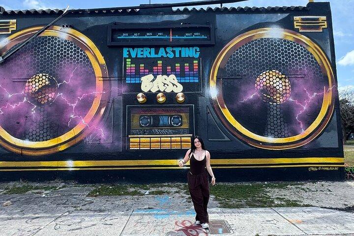 See Miami in One Tour!! 6 hour VIP Experience