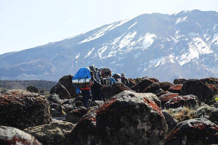 6 days Kilimanjaro Ascent via the Scenic Machame Route