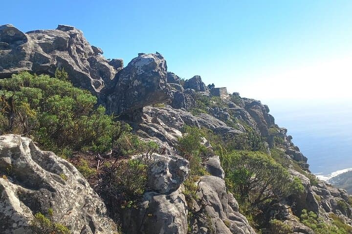 Table Mountain Tour with Cable Car Tickets and Transfers