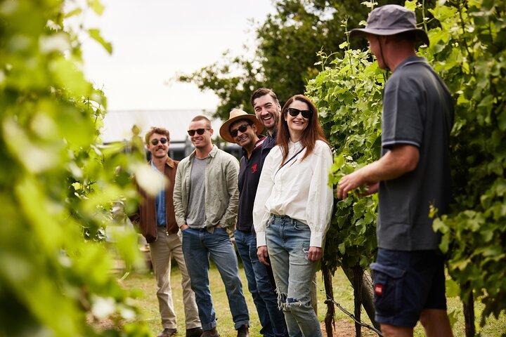 Richmond and Wine Tour