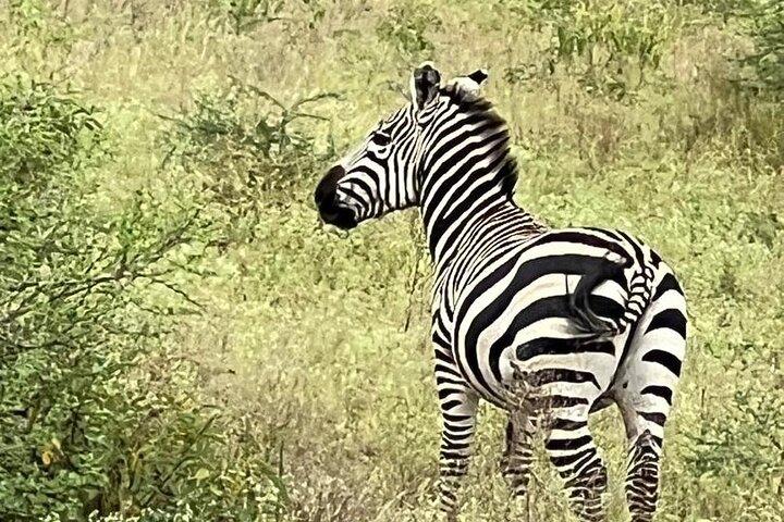 5 Days: Serengeti ,Ngorongoro and Tarangire Safari