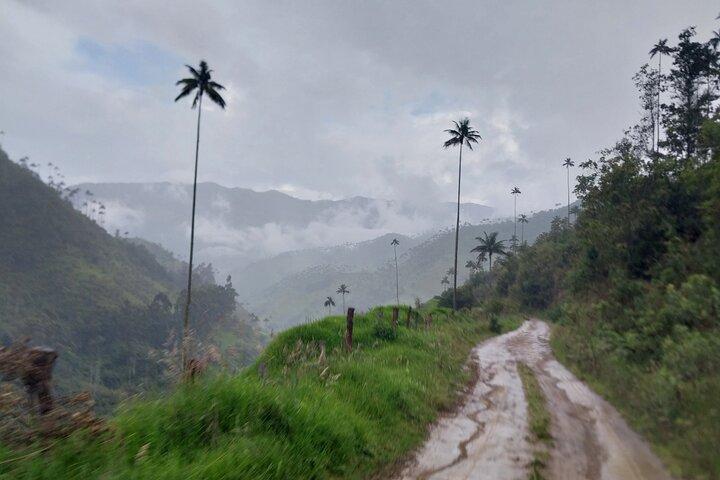 Salento, Cradle of wax palm, Carbonera Hike Tour