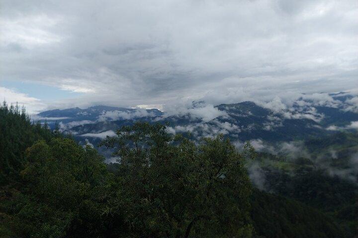 Salento, Cradle of wax palm, Carbonera Hike Tour