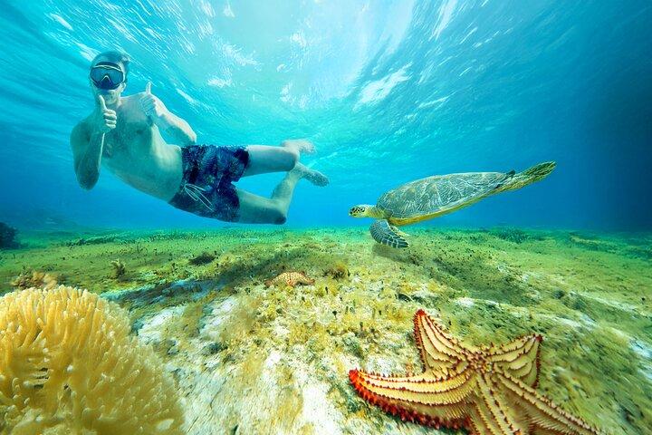 El Cielo Snorkeling Tour & kuza Beach, Buffet & Open Bar Included