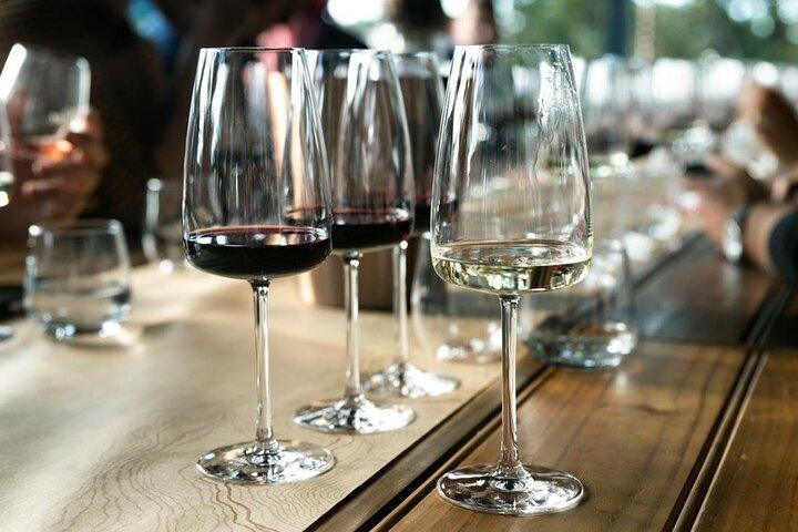 A Taste of Lisbon: Wine Tasting Experience