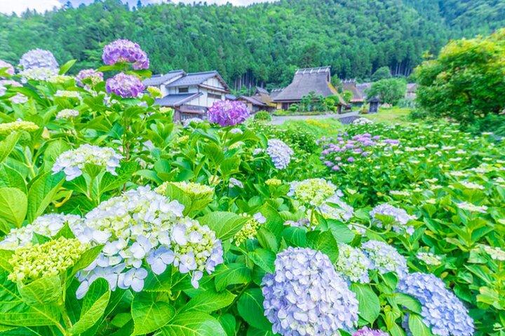 Amanohashidate Ine Funaya and Miyama Thatched Village Tour