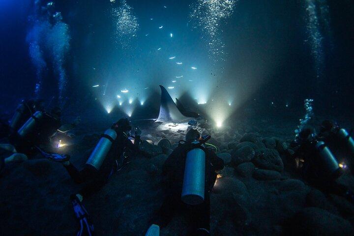 One Tank Manta Night Dive and Snorkel