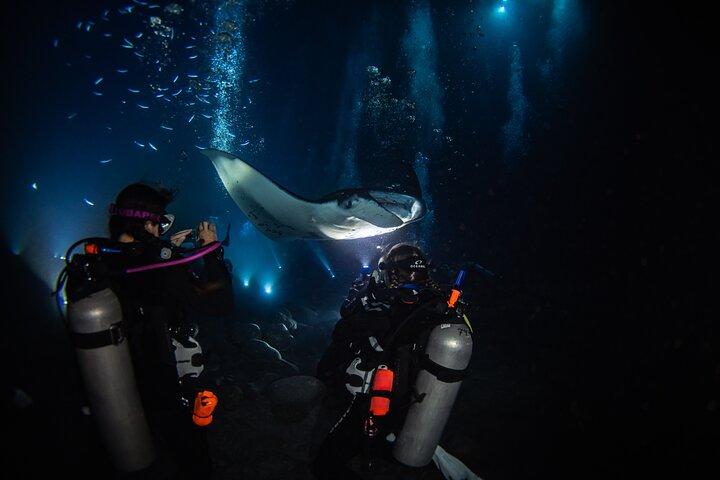 One Tank Manta Night Dive and Snorkel