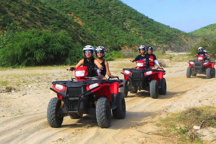 Cabo San Lucas Camel and Horseback Ride with ATV Adventure