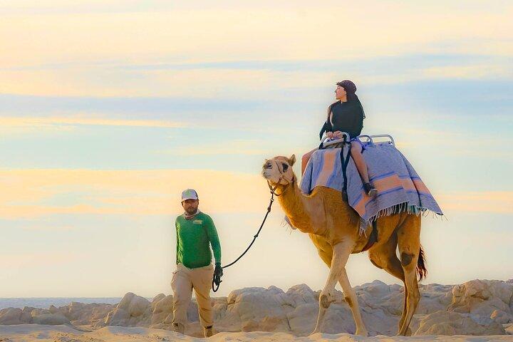 4x4 Automatic ATV and Camel Ride Combo Tour in Cabo San Lucas