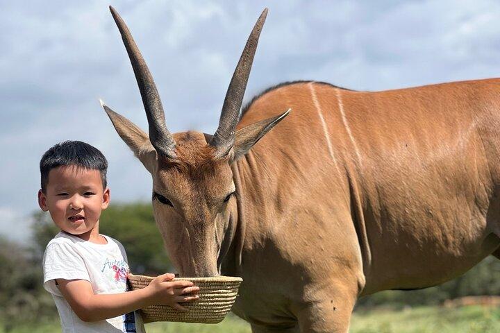 Serval Wildlife Safari, Materuni Waterfall Hike and Coffee Tour