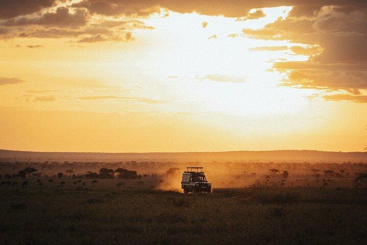 3-Day Fly-In Safari to the Iconic Serengeti