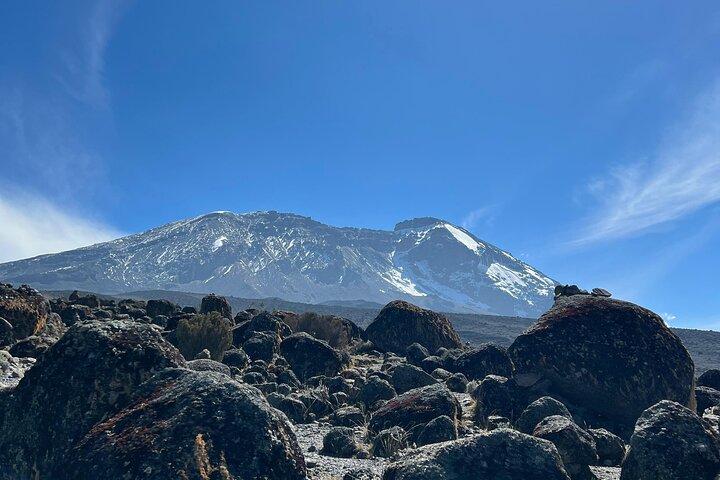 Mount Kilimanjaro Private Tour by Hiking
