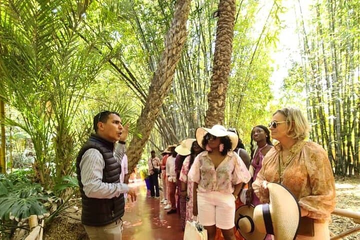 Marrakech Half Day City Tour : Historical and Cultural city tour