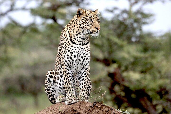 Kenya and Tanzania Expedition Safari Tour