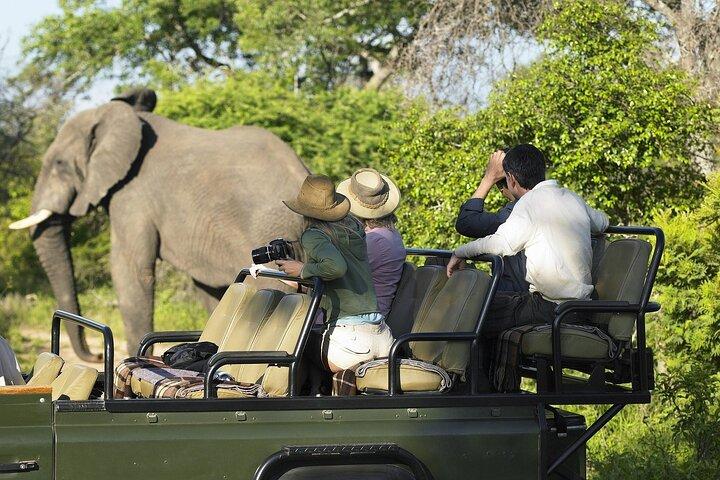 Kenya and Tanzania Expedition Safari Tour
