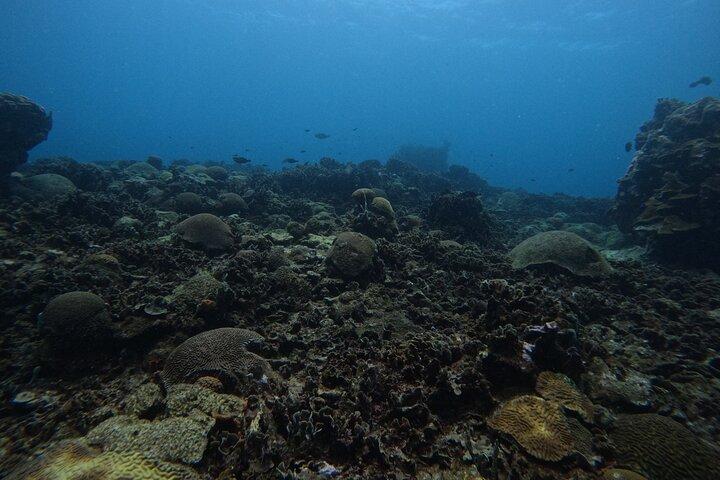Cartagena : A recreational diving experience