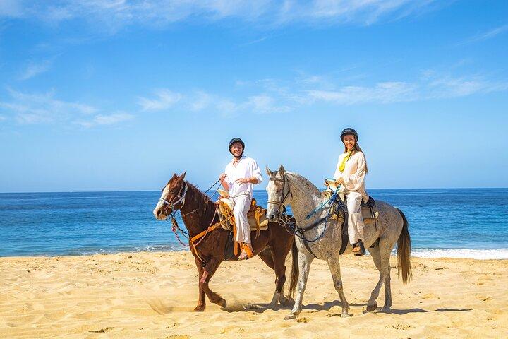 Cabo San Lucas Camel and Horseback Ride with ATV Adventure