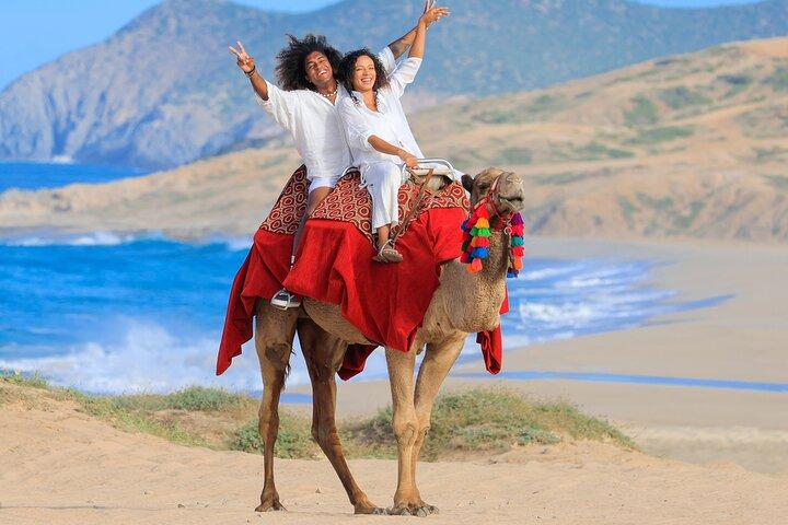 Cabo UTV and Camel Ride Combo