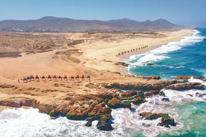 Cabo UTV and Camel Ride Combo