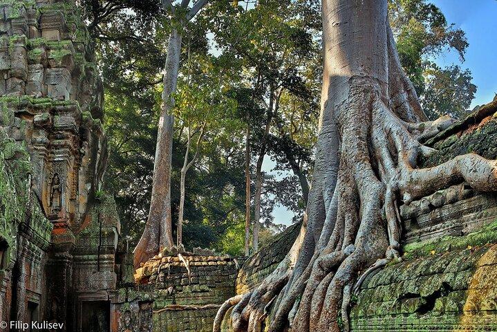 Full-Day Guided Sunset Tour of Angkor Wat